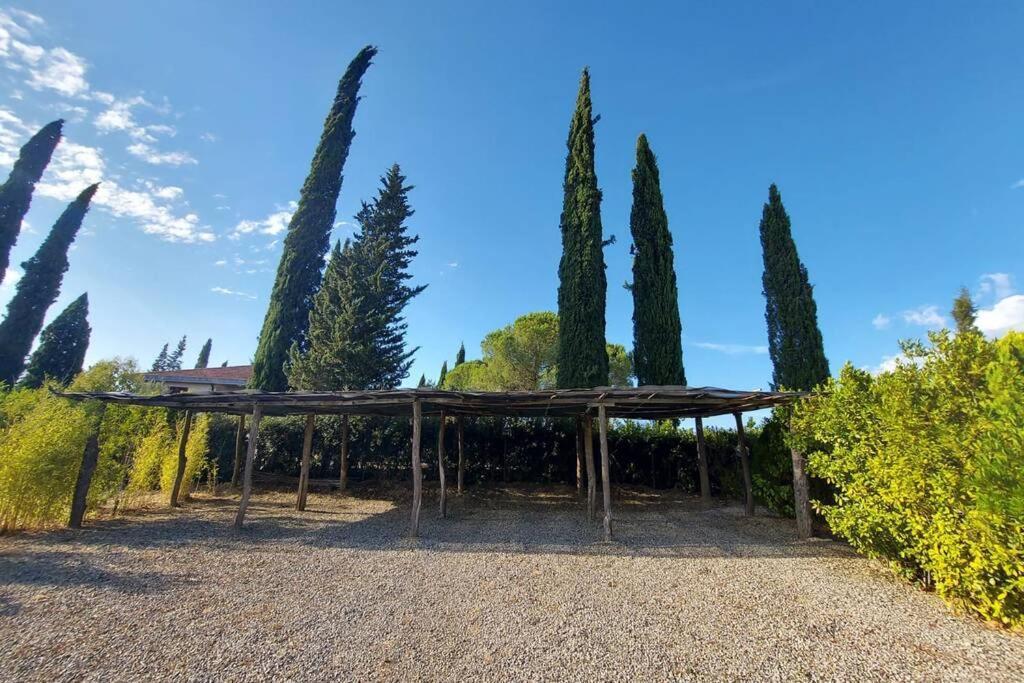 Apartamento Il Paretaietto Certaldo Exterior foto